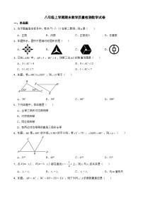 安徽省2023年八年级上学期期末教学质量检测数学试卷附答案