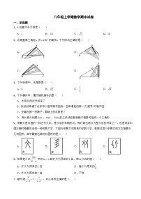 北京市顺义区2023年八年级上学期数学期末试卷附答案