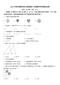 江苏省盐城市射阳县2023-2024学年八年级上册期中数学试题（含解析）