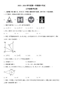 河南省商丘市夏邑县2023-2024学年九年级上册期中数学试题（含解析）