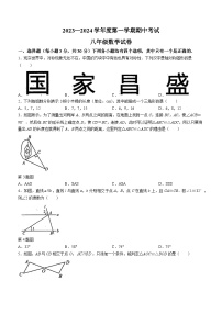 河南省商丘市夏邑县2023-2024学年八年级上册期中数学试题（含答案）