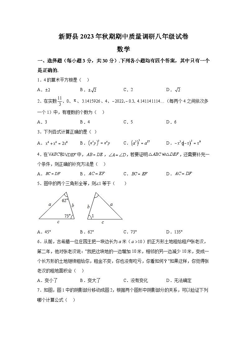 河南省南阳市新野县2023-2024学年八年级上册期中数学试题（含解析）01