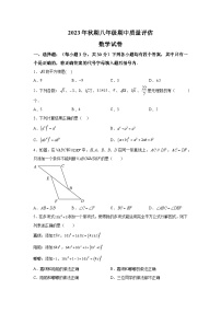 河南省南阳市淅川县2023-2024学年八年级上册期中数学试题（含解析）