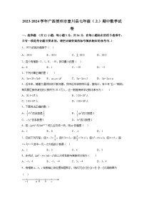 广西壮族自治区贺州市富川瑶族自治县2023-2024学年七年级上册期中数学试题（含解析）