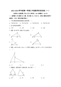 广东省湛江市廉江市2023-2024学年八年级上学期月考数学试卷(含解析)