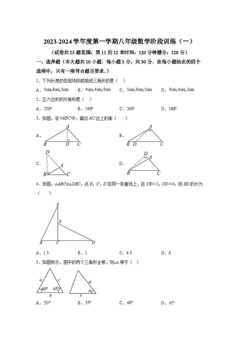 广东省湛江市廉江市2023-2024学年八年级上学期月考数学试卷(含解析)第1页