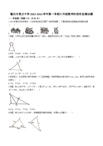 广东省肇庆市重点中学2023-2024学年八年级上学期期中数学试题(无答案)