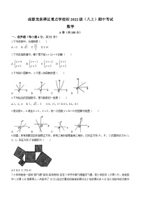 四川省成都市龙泉驿区重点学校2023-2024学年八年级上学期期中数学试题(无答案)