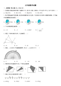 2023-2024学年河北省秦皇岛市昌黎县七年级上册期中数学试题（含解析）