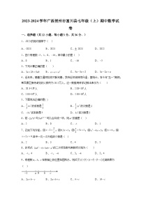 2023-2024学年广西壮族自治区贺州市富川瑶族自治县七年级上册期中数学试题（含解析）