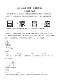 2023-2024学年河南省商丘市夏邑县八年级上册期中数学试题 含答案