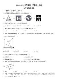 2023-2024学年河南省商丘市夏邑县九年级（上）数学期中数学试题（含解析）