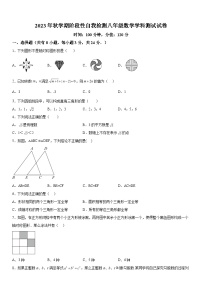 2023-2024学年江苏省盐城市射阳县八年级上册期中数学试题（含解析）