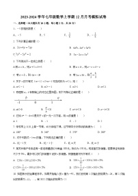 江苏省苏州地区2023-2024学年七年级数学上学期12月月考模拟试卷