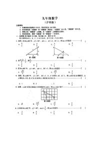 安徽省亳州市部分学校2023-2024学年度九年级上学期第三次月考数学试题