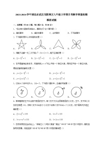 2023-2024学年湖北省武汉市新洲区九年级上学期月考数学质量检测模拟试题（含答案）