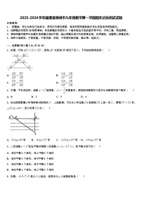 2023-2024学年福建省泉州市九年级数学第一学期期末达标测试试题