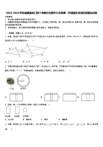 2023-2024学年福建省厦门双十思明分校数学九年级第一学期期末质量检测模拟试题含解析