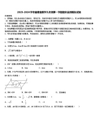 2023-2024学年福建省数学九年级第一学期期末监测模拟试题