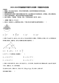 2023-2024学年福建省中学数学九年级第一学期期末考试试题