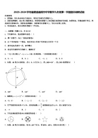 2023-2024学年福建省福州市中学数学九年级第一学期期末调研试题