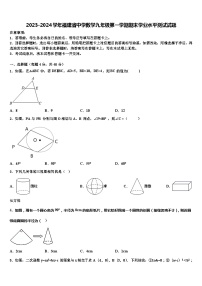 2023-2024学年福建省中学数学九年级第一学期期末学业水平测试试题