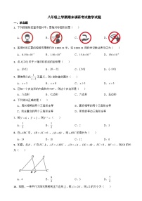 广东省江门市2023年八年级上学期期末调研考试数学试题附答案