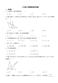 辽宁省沈阳市2023年八年级上学期期末数学试题附答案