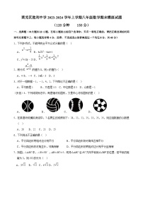 山东省济南市莱芜区胜利中学2023-2024学年上学期八年级数学期末模拟试题