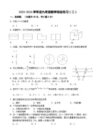 广东省茂名市信宜市2023-—2024学年九年级上学期12月月考数学试题