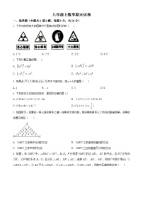 八年级上学期期末数学试题 (4)