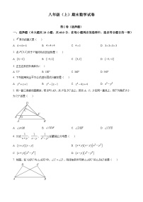 八年级上学期期末数学试题 (14)