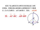 3.3 垂径定理 浙教版数学九年级上册课件