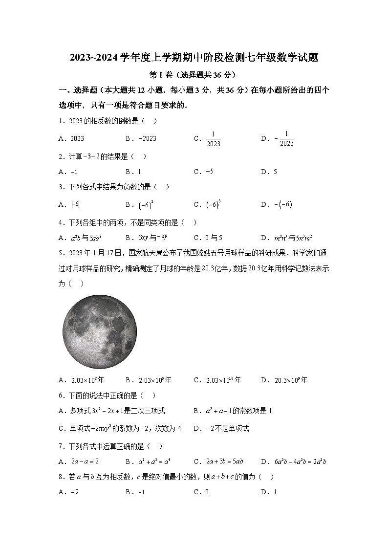 山东省临沂市临沭县2023-2024学年七年级上学期期中数学试题（含解析）01