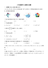 八年级上学期期末数学试题 (36)