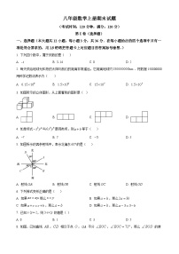 八年级上学期期末数学试题 (50)