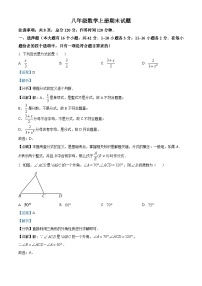 八年级上学期期末数学试题 (69)