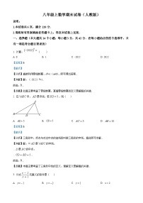 八年级上学期期末数学试题 (71)