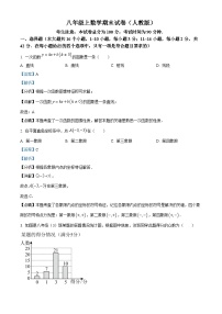 八年级上学期期末数学试题 (73)