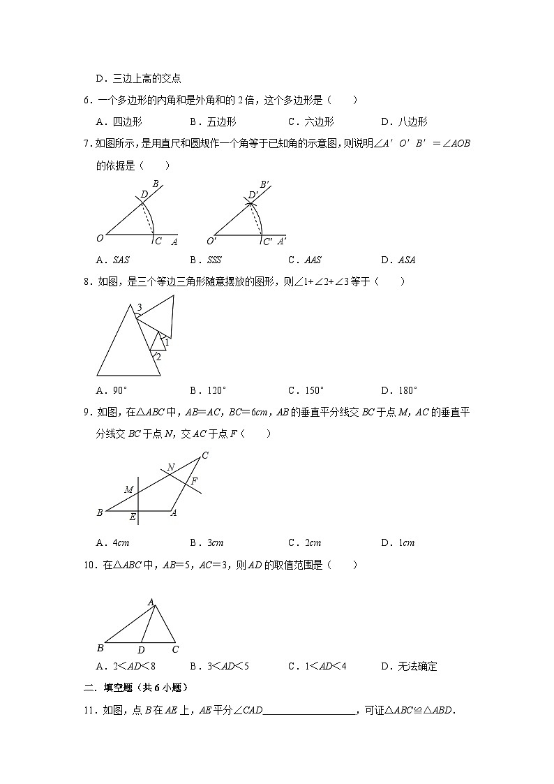 广东省广州市番禺区桥兴中学2023-2024学年八年级上学期期中数学试卷02