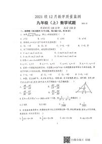 四川省眉山市仁寿县鳌峰初级中学2023-2024学年九年级上学期12月月考数学试题