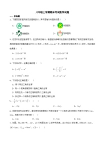 四川省绵阳市2023年八年级上学期期末考试数学试题 附答案