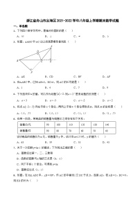 浙江省舟山市2023年八年级上学期期末数学试题 附答案