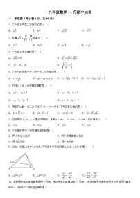 四川省眉山市仁寿县2023-2024学年九年级上册期中数学试题（含解析）