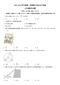 山东省聊城市东昌府区2023-2024学年九年级上册期中数学试题（含解析）