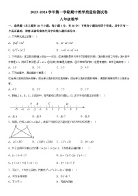 河南省洛阳市新安县2023-2024学年八年级上册期中数学试题（含解析）