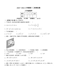 辽宁省鞍山市岫岩满族自治县2023-2024学年八年级上学期12月月考数学试题