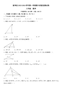 新疆维吾尔自治区阿克苏地区新和县2023-2024学年八年级上册期中数学试题（含解析）