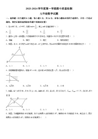 山东省菏泽市单县2023-2024学年九年级上册期中数学试题（含解析）