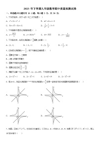 湖南省怀化市溆浦县圣达学校2023-2024学年九年级上册期中数学试题（含解析）